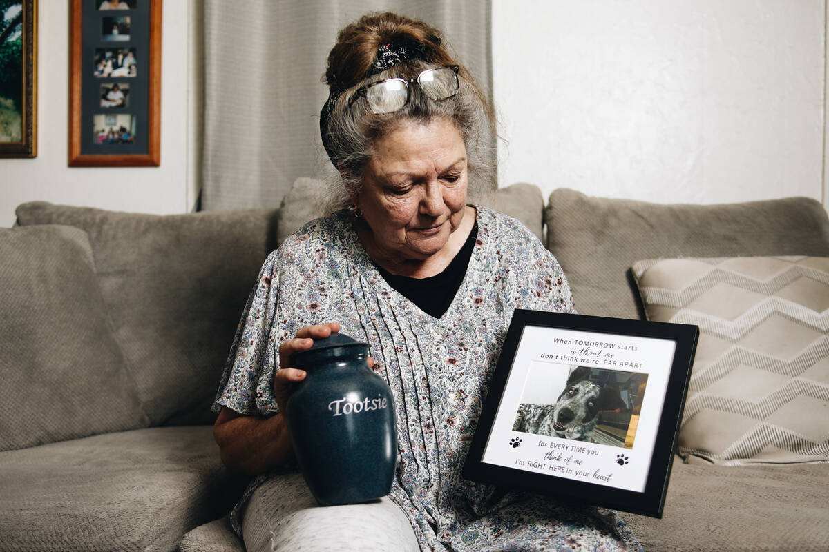 Debbie Hogan looks at a photograph of her dog, Tootsie, on July 5, 2023, at her home in Las Veg ...