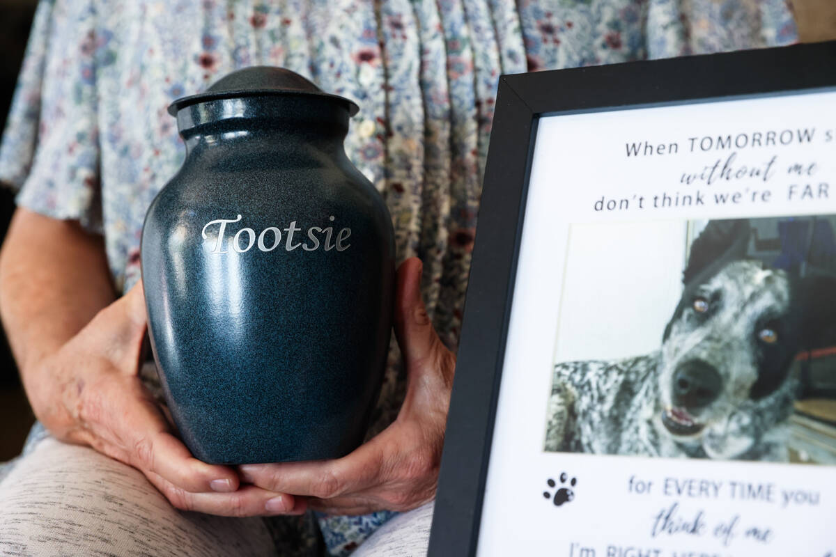 Debbie Hogan holds an urn of Tootsie’s remains at her home in Las Vegas on July 5, 2023. Hog ...