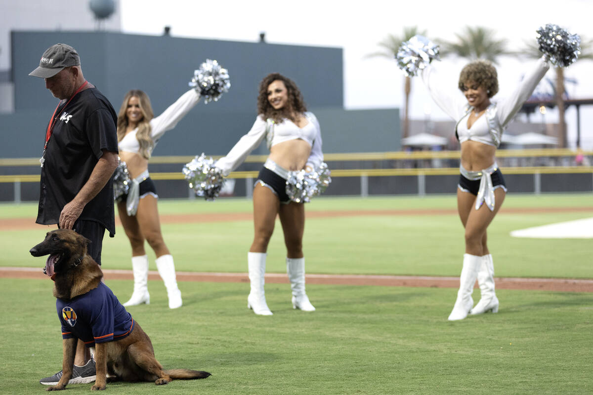 Bat dog Finn practices his task while the Raiderettes perform in the background during the annu ...