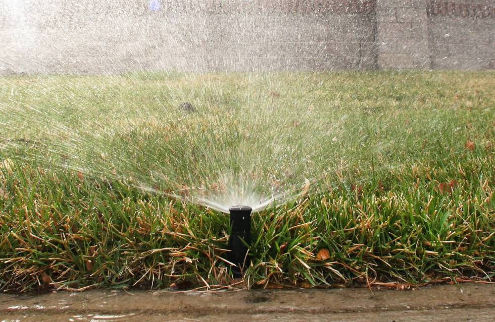 A sprinkler waters grass at Green Valley Parkway on Tuesday, March 5, 2019, in Henderson. (Bizu ...