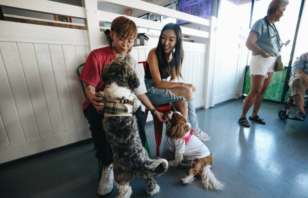 Jae Wong, left, pets two dogs while Jo Lee watches during a dog park party inside of an indoor ...