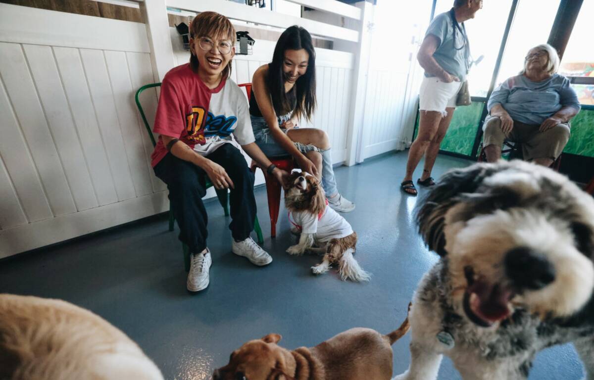Jae Wong, left, giggles as dogs run by while Jo Lee pets another dog at a dog park party inside ...