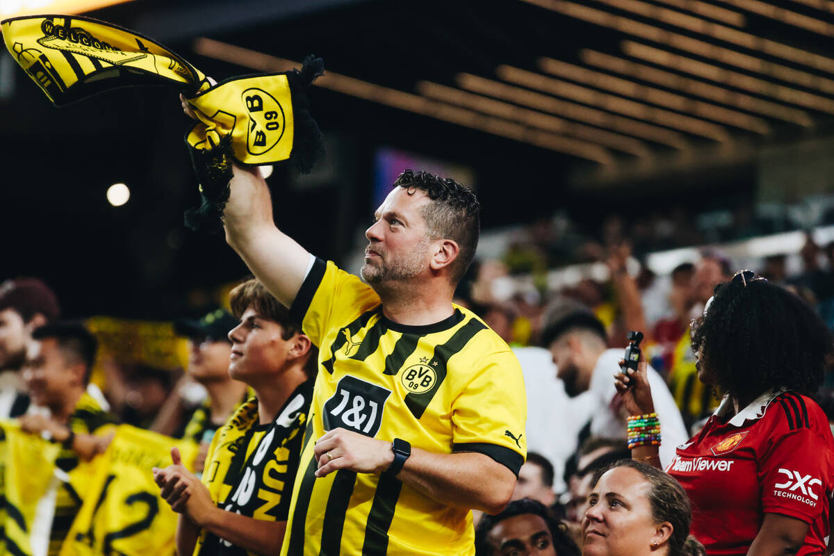A Borussia Dortmund fan waves a scarf in the air to celebrate his team scoring a goal during a ...