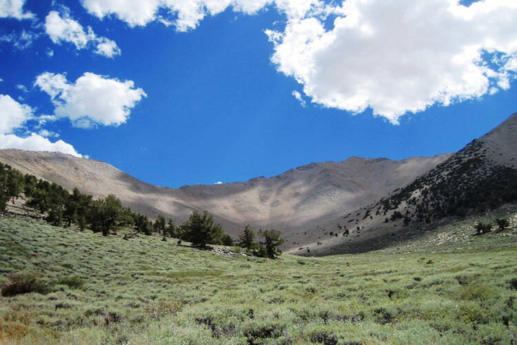 Boundary Peak as seen the Trail Canyon side. At 13,140 feet, it is Nevada highest point. (Miche ...