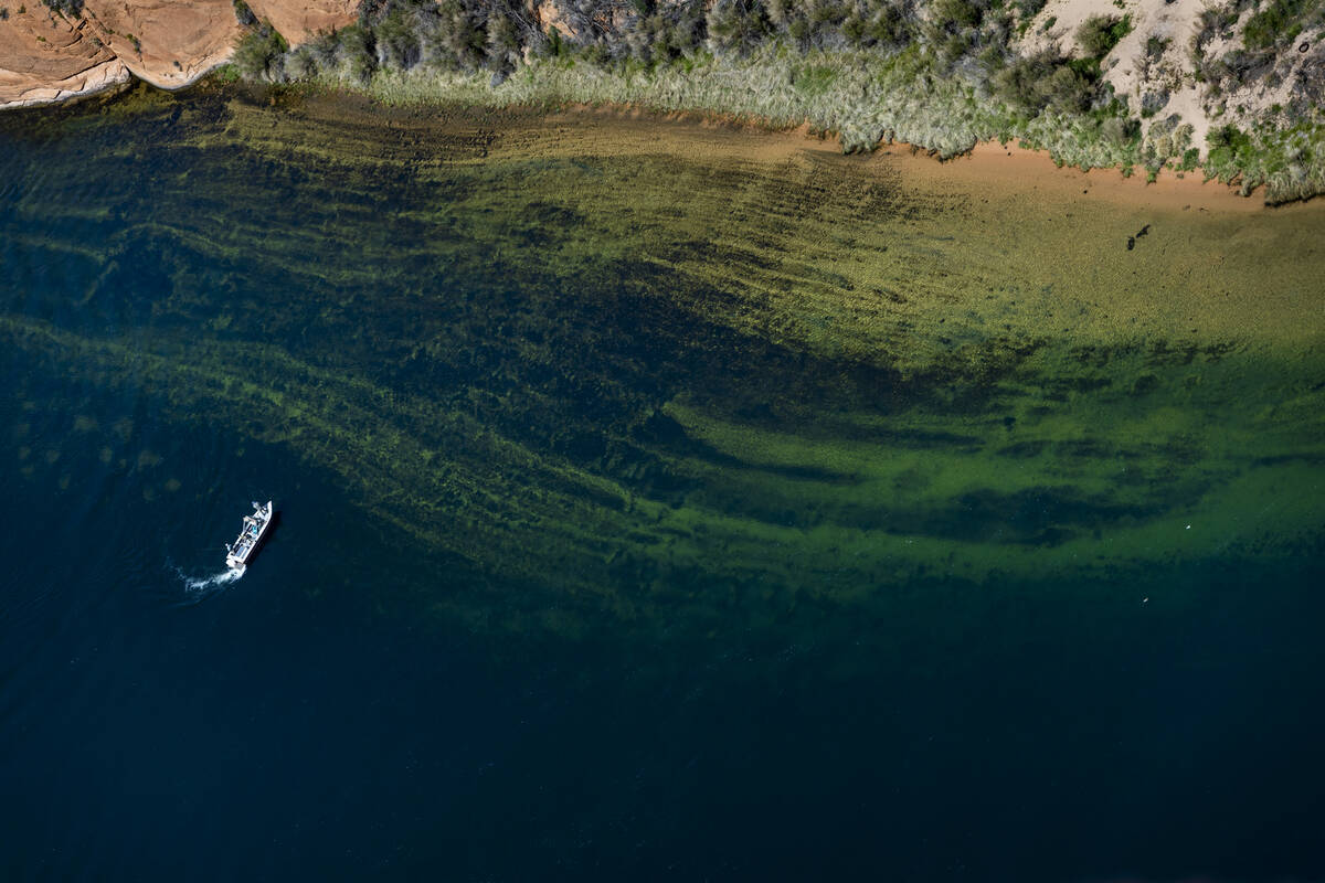 A boat cruises along the Colorado River near Horseshoe Bend on April 18, 2023, in Page, Ariz. ( ...