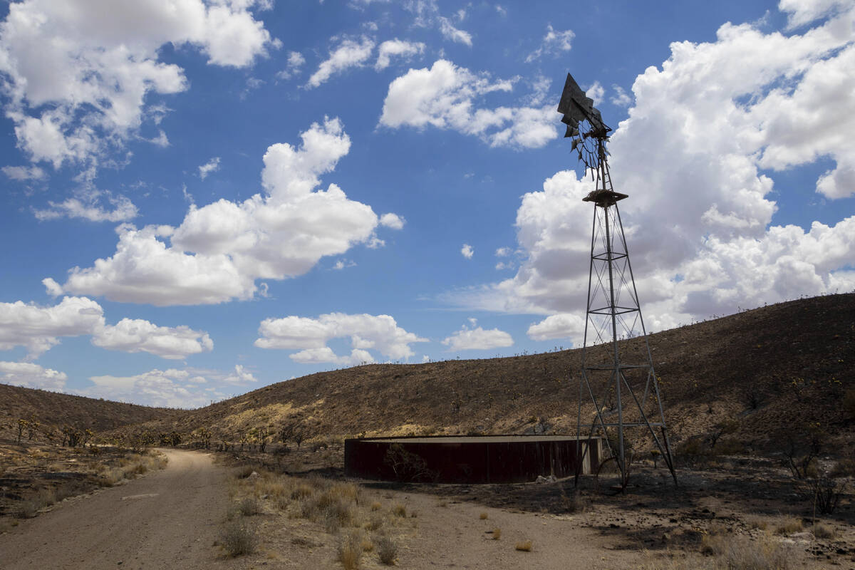 Burned landscape from the York Fire is shown in the Mojave National Preserve on Tuesday, Aug. 1 ...