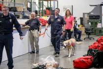 Donovan Kutsenda, search team manager, walks with K-9 Dexter at the Nevada Task Force 1 warehou ...
