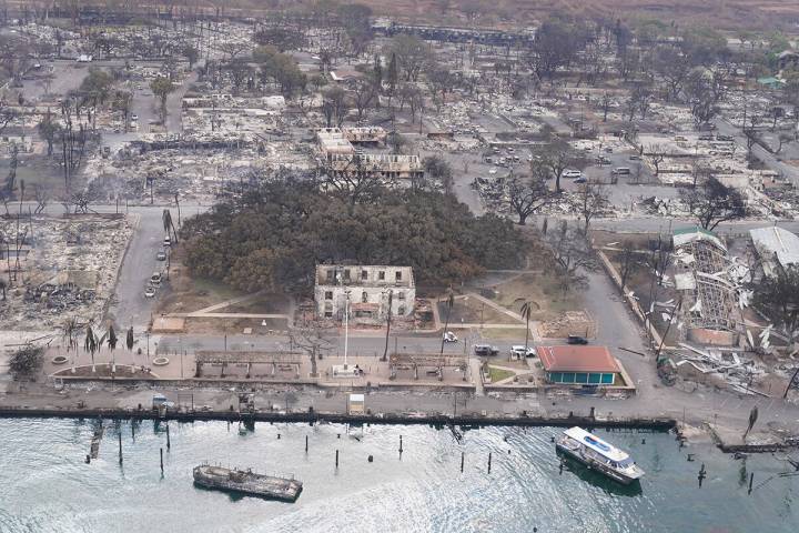 A banyan tree rises among the Wildfire wreckage, Thursday, Aug. 10, 2023, in Lahaina, Hawaii. ( ...