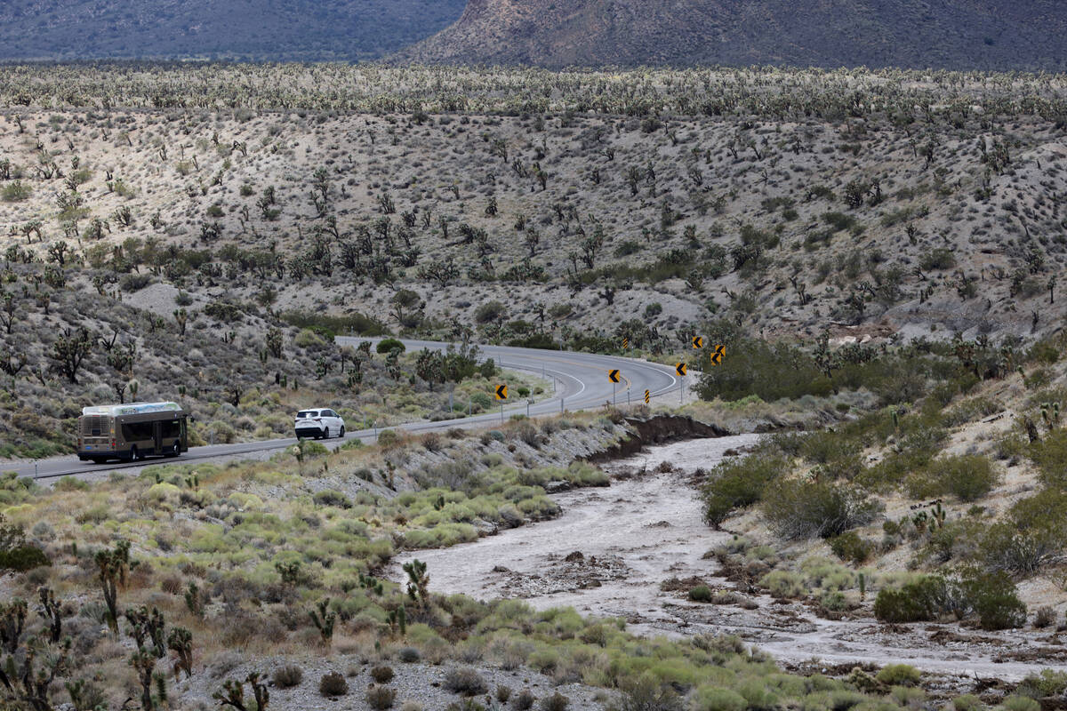 A Regional Transportation Commission bus is escorted up the closed Nevada State Route 157, also ...