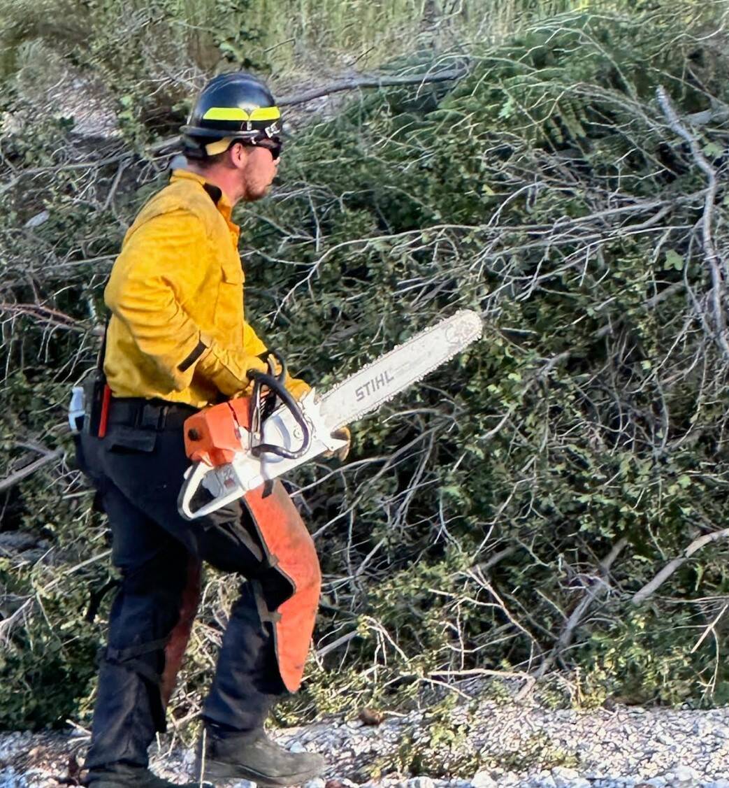 A worker uses a chainsaw to remove debris from trees and plants damaged during the flooding. (c ...