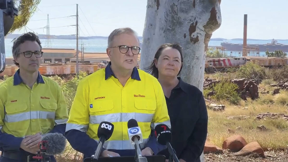 In this image made from video, Australian Prime Minister Anthony Albanese, center, speaks to th ...