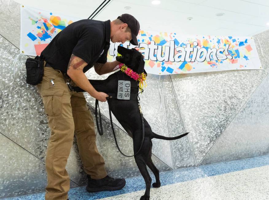 Dina, a Transportation Security Administration explosive detection K-9 and the winner of the TS ...