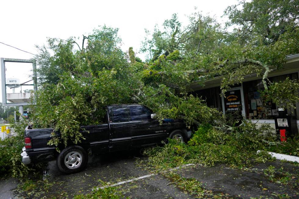 A fallen tree lies atop the Mayo Cafe and a truck parked outside in Mayo, Fla., after the passa ...