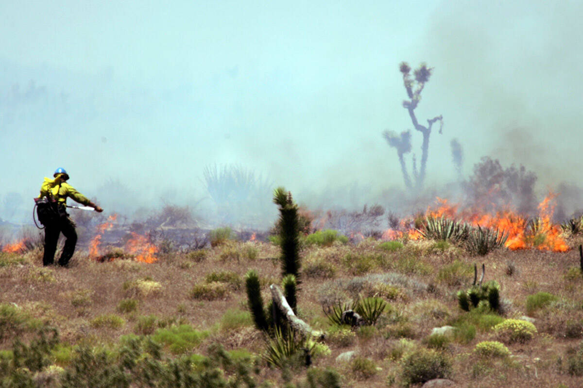 A Firefighter works the fire at Goodsprings. (Las Vegas Review-Journal)