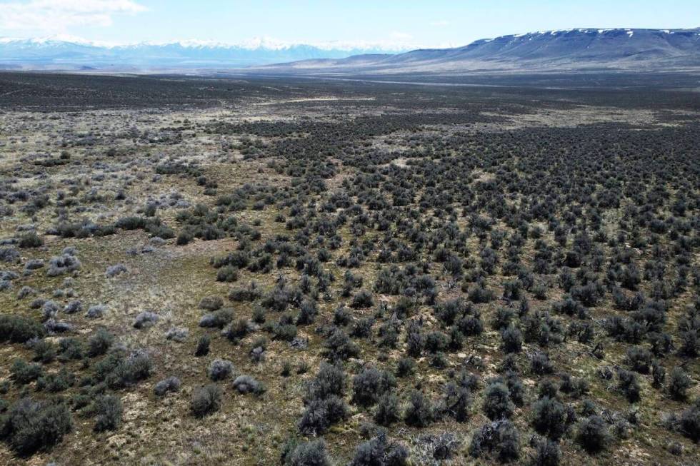 This photo on April 24, 2023, shows land where the Thacker Pass lithium mine site will be near ...