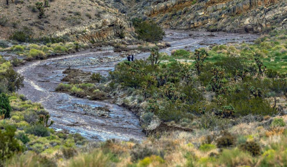 People walk down to a fast-moving wash of water coming from Mount Charleston as the remnants of ...