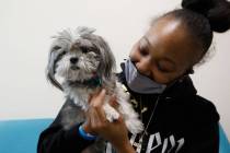 Chayiko McMillian greets her new pet dog from The Animal Foundation on Saturday, Oct. 23, 2021. ...