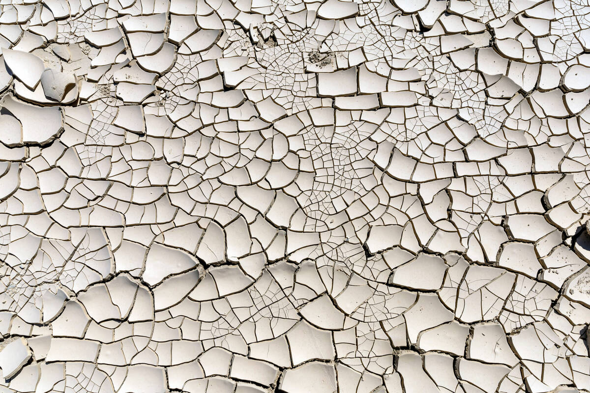 The mud-lined driveway outside of the Amargosa Opera House and Hotel from recent rains delivere ...