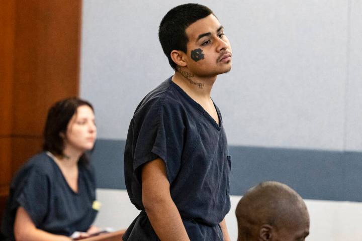 Jesus Ayala, one of two suspects accused of mowing down a retired police chief in a fatal hit-a ...