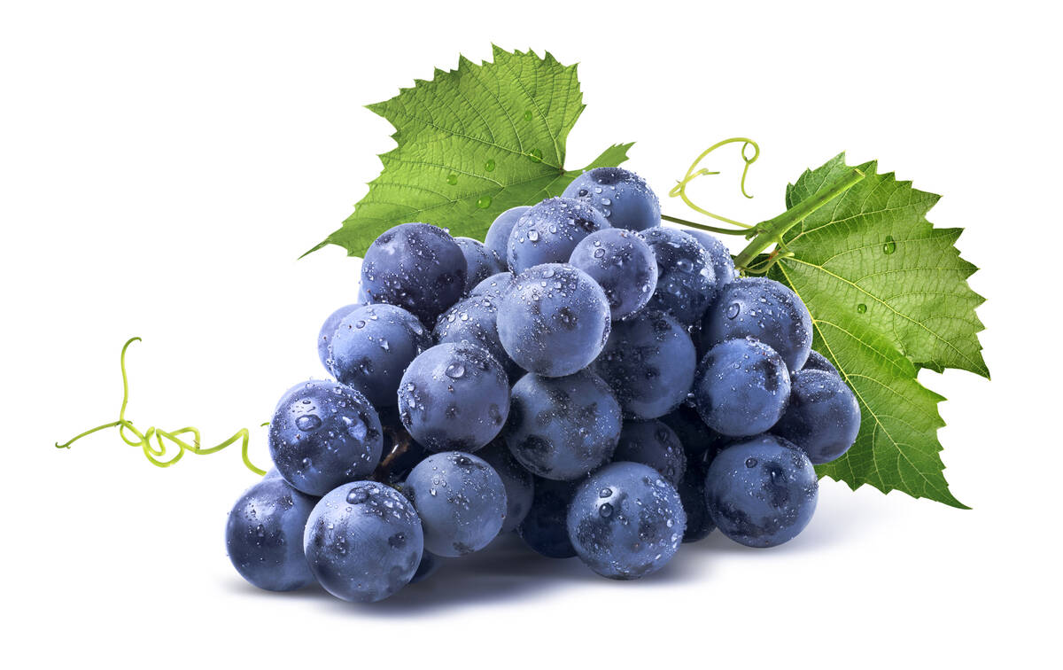 Grapes are full of resveratrol, a memory-boosting compound. Concord grapes are rich in polyphen ...