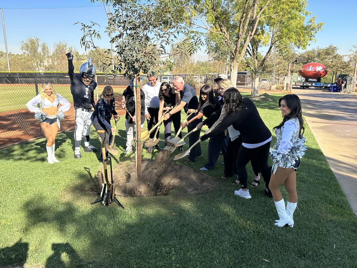 Representatives from the NFL, Las Vegas Super Bowl Host Committee, city of Henderson, Arizona S ...