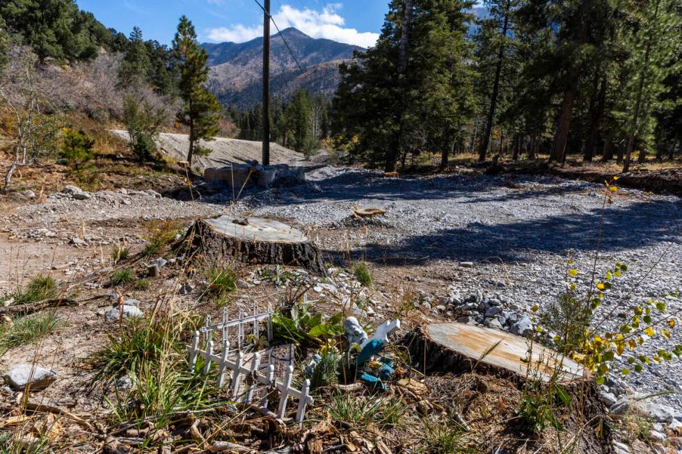 Tree stumps from removed downed trees in the wash along Kyle Canyon Road as repairs continue at ...