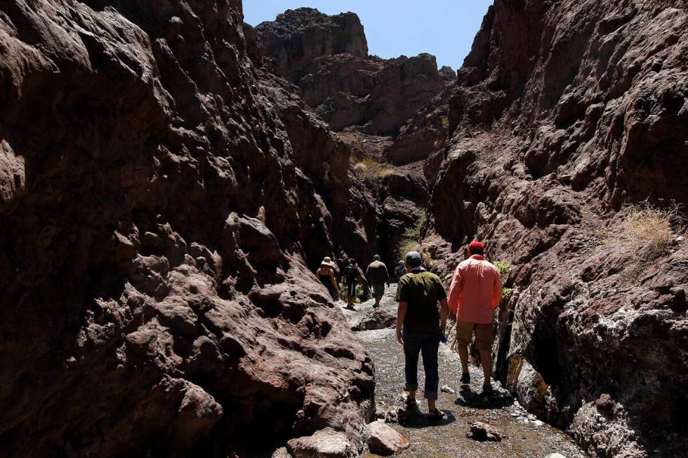 Hikers make their way up a slot canyon just above Arizona Hot Springs Beach in July 2014. (Las ...