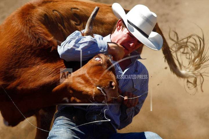 In this July 4, 2013, photo, Dalton Massey of Hermiston, Ore. competes in the steer wrestling e ...