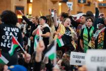 Elya Piazza is pictured here with glasses and short hair, protesting for a ceasefire in the Isr ...