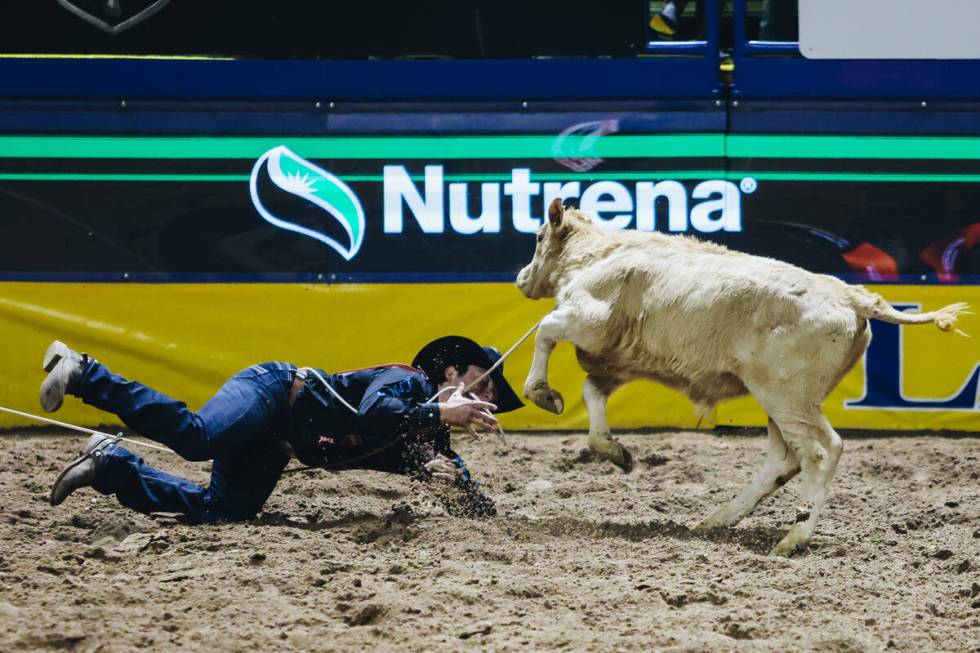 Ty Harris trips on his rope while trying to get to the calf during tie down roping at the Natio ...