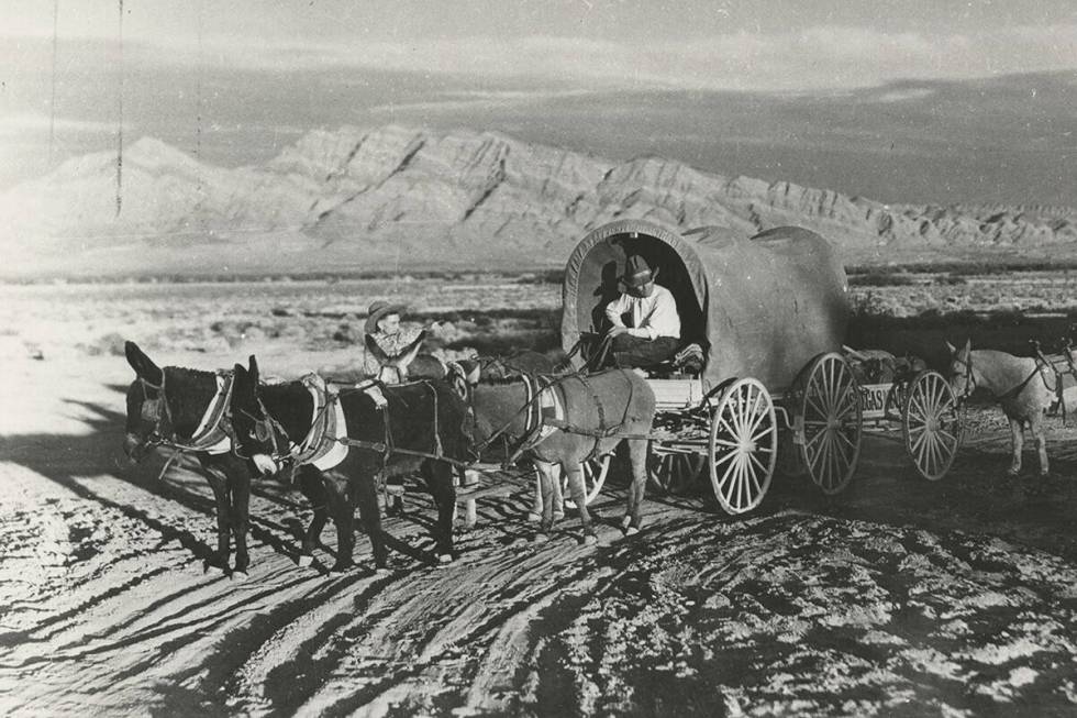 An unnamed miner sits in a covered wagon pulled by burros in the early 1910s, with Frenchman Mo ...