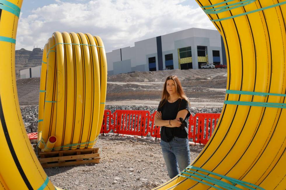 Lisa Cole, Esq., vice president of Land Development Associates, LLC, stands near a building of ...