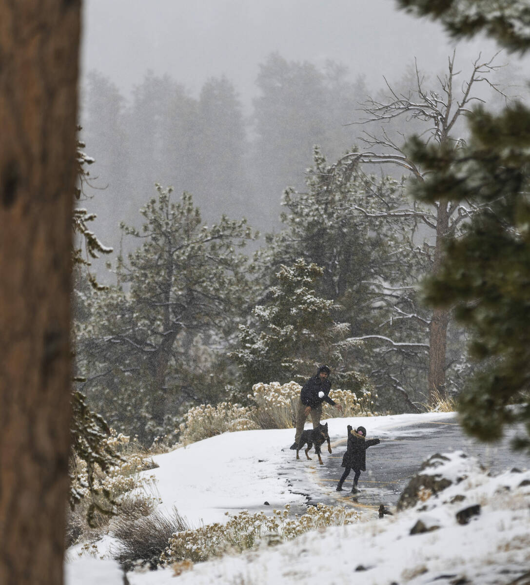 A snowball fight breaks out in the parking lot of the Lee Canyon Ski Resort as it continues to ...