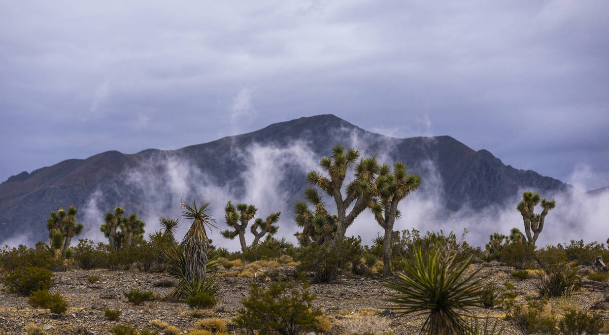 Clouds gather low on the horizon along Lee Canyon Road as snow falls atop Mount Charleston on F ...