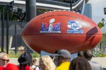 Attendees line up to have their photo taken by the Super Ball as the Super Bowl Host Committee ...