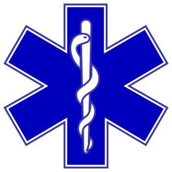 A "Star of Life" symbol is seen. (Courtesy Nevada Department of Motor Vehicles)