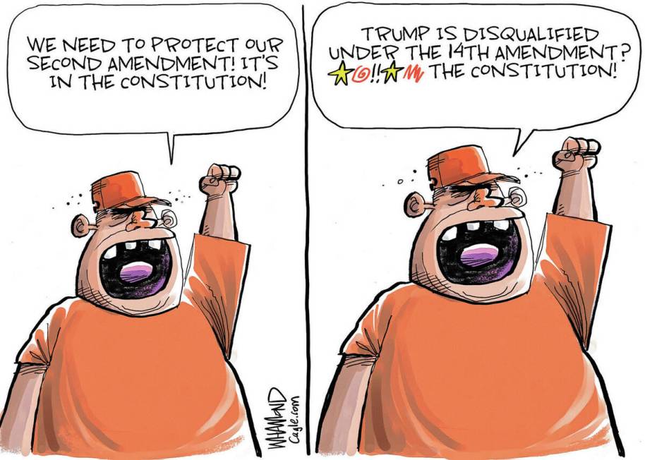 Dave Whamond PoliticalCartoons.com