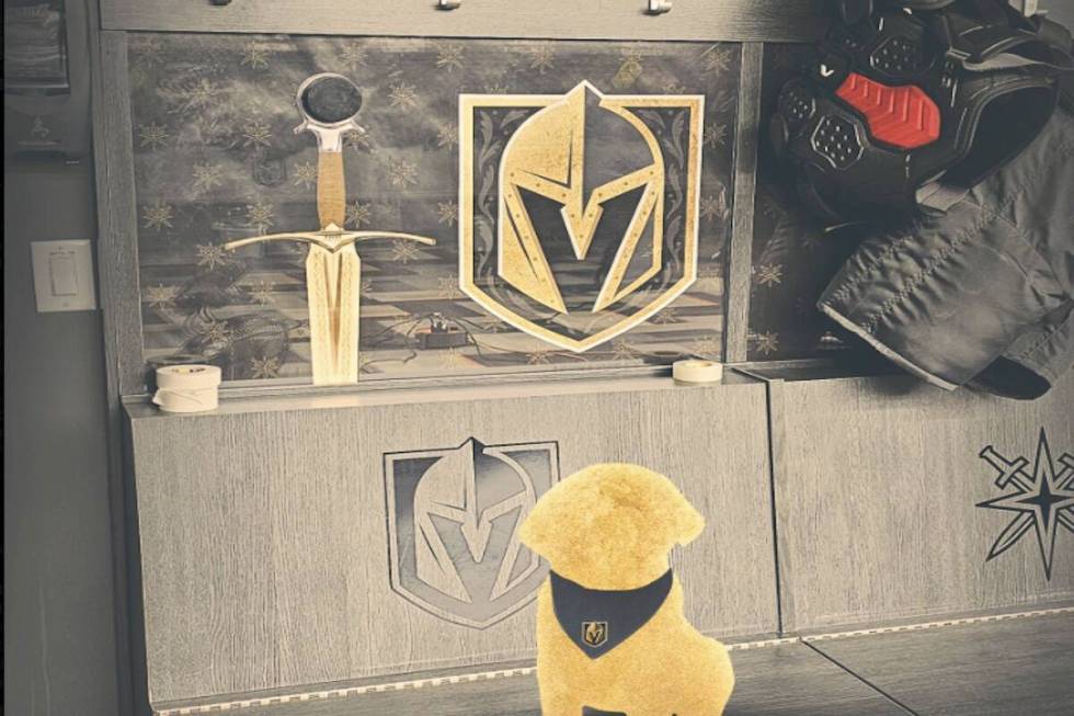 The Golden Knights announced Friday the team will train a service dog that will go to a United ...