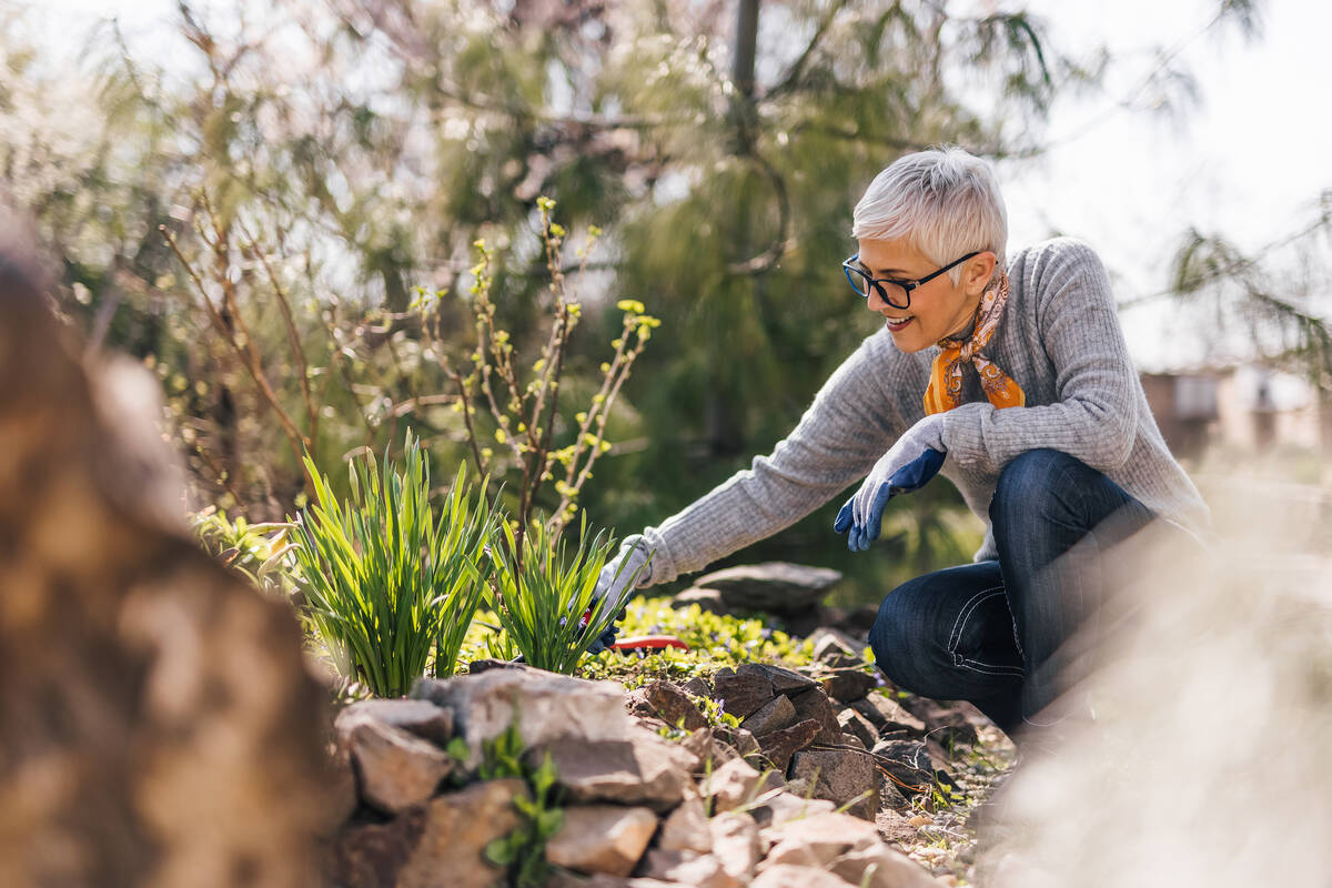 Spending time in the sunshine gardening is a great way to get vitamin D, which is important for ...