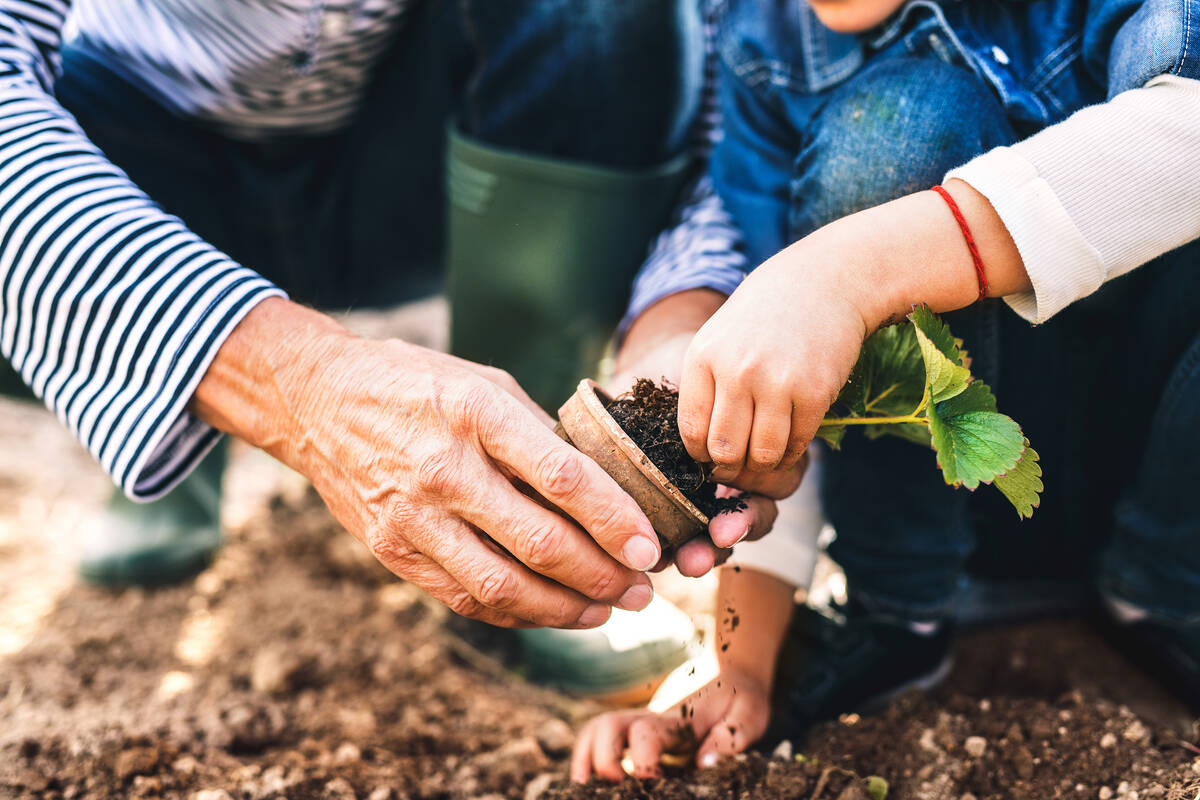 Gardening isn’t just good for the body. It’s also scientifically linked to suppor ...