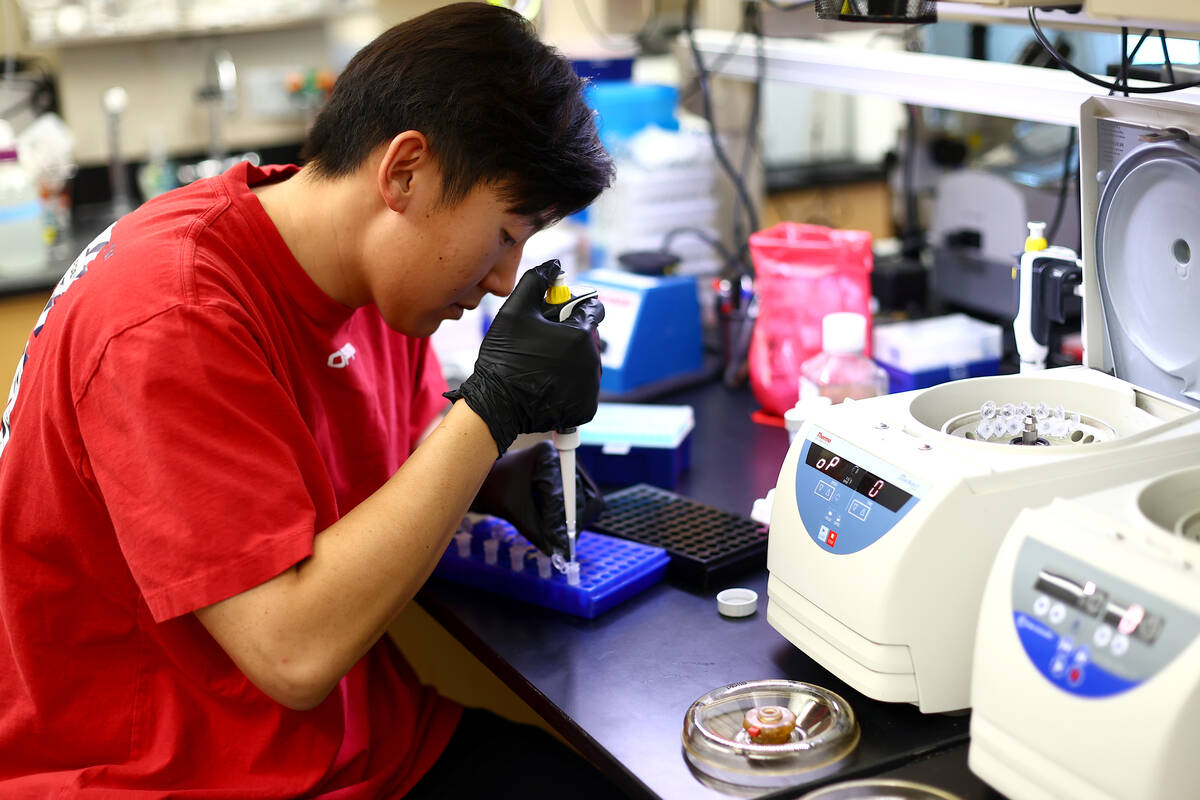 Student Chris Oh tests wastewater samples in a lab at UNLV Science and Engineering Building on ...