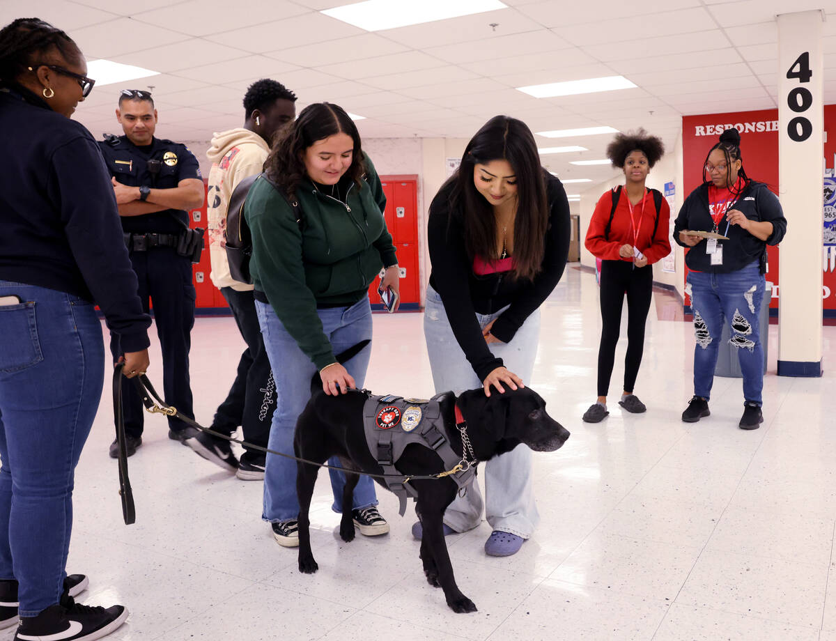 Therapy dog Eddie works with students Deisy Pacheco Amaro, right, and Araly Garza Macias at Val ...
