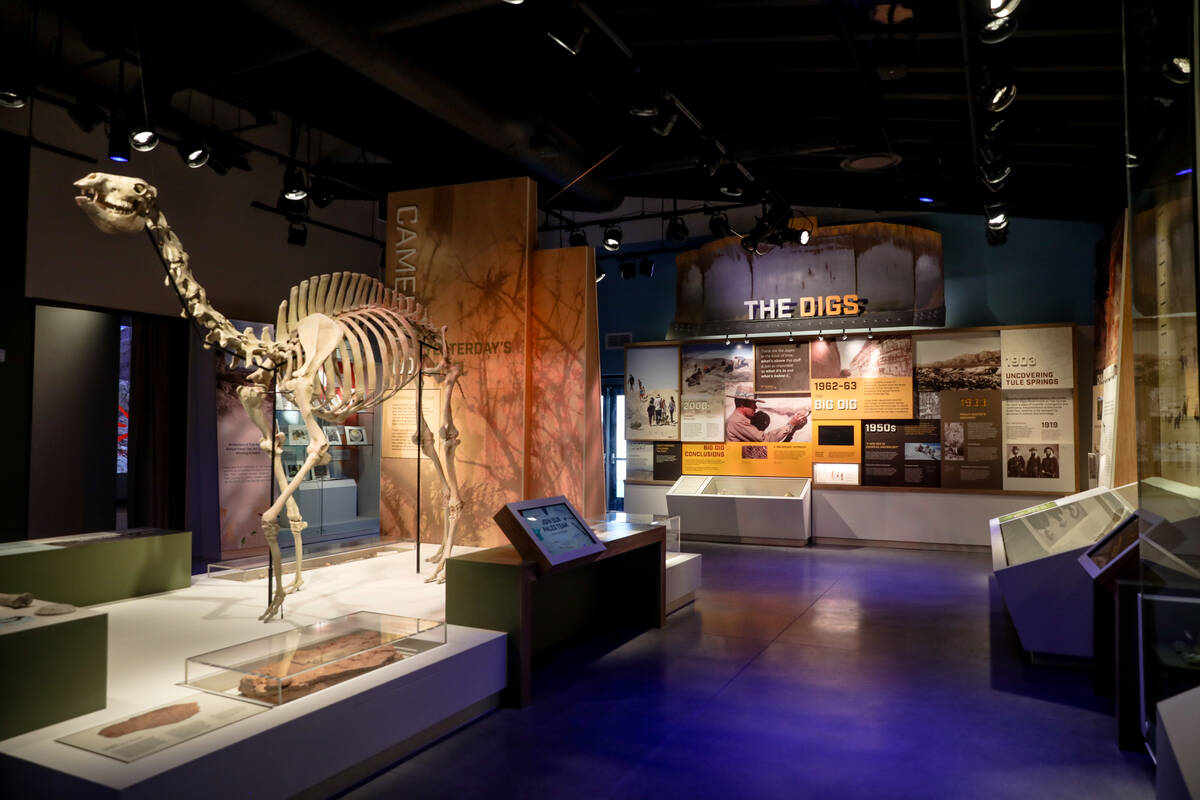 The visitor center at Ice Age Fossils State Park in North Las Vegas, Tuesday, Jan. 16, 2024. (R ...