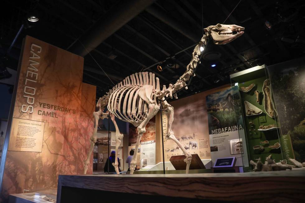 The visitor center at Ice Age Fossils State Park in North Las Vegas, Tuesday, Jan. 16, 2024. (R ...