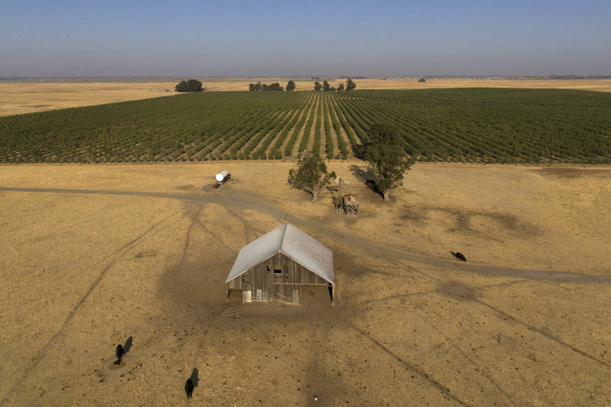 In this aerial photo is farmland in rural Solano County, Calif., Aug. 30, 2023. The people behi ...