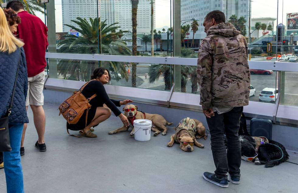 A woman stops to pet a dog wearing sunglass as panhandlers and performers occupy spots along th ...
