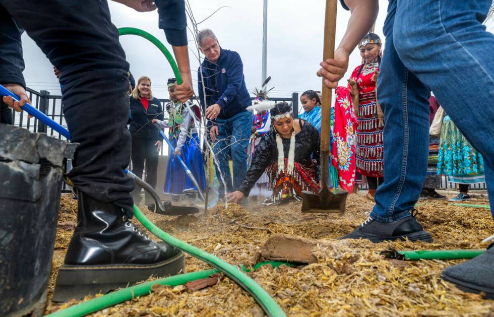 Attendees plant a ceremonial tree during the first of Super Bowl "Green Week" events ...