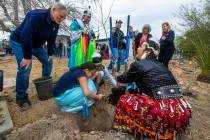 Attendees plant a ceremonial tree during the first of Super Bowl "Green Week" events ...