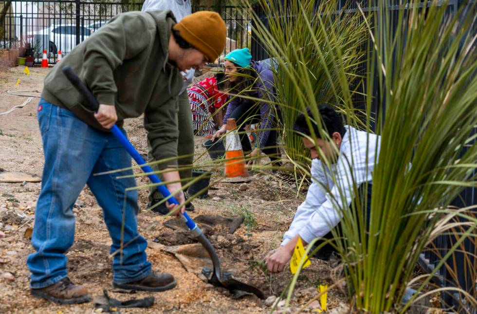 Attendees plant trees and bushes during the first of Super Bowl "Green Week" events a ...