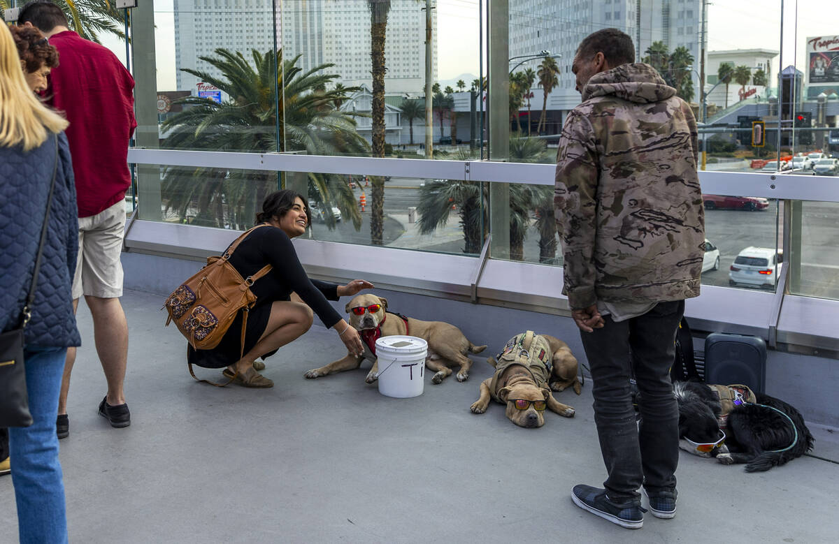 A woman stops to pet a dog wearing sunglass as panhandlers and performers occupy spots along th ...